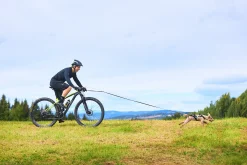 Barre de traction détachable rapide - NON-STOP Dogwear Bike Antenna Klickfix