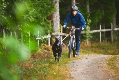 Barre de traction - NON-STOP Dogwear Bike Antenna