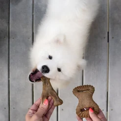 Benebone pack Dental Chew Wishbone bacon