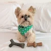 Benebone Puppy Pack Maplestick Zaggler bacon