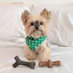 Benebone Puppy Pack Maplestick Zaggler bacon