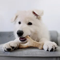 Benebone Puppy Wishbone bacon S