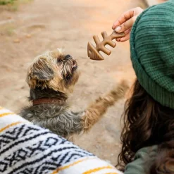 Benebone Tiny Pack Fishbone x 2