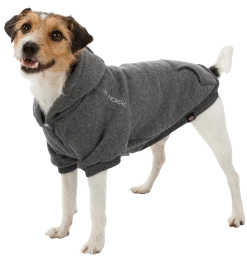 BE NORDIC Sweat à capuche Flensburg, XS: 30 cm, gris