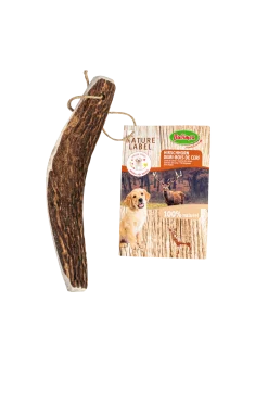 Bois de cerf coupé en 2 - M 40-80 g