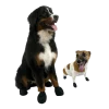 Bottine / chaussettes de protection pour chien PAWZ, L