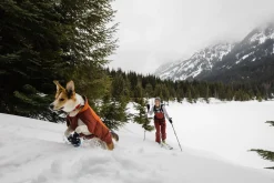 Bottines Ruffwear Polar Trex, la paire, XS