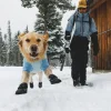 Bottines Ruffwear Polar Trex, la paire, L