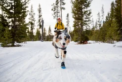 Bottines Ruffwear Polar Trex, la paire, XL