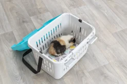 Box de transport Midi capri