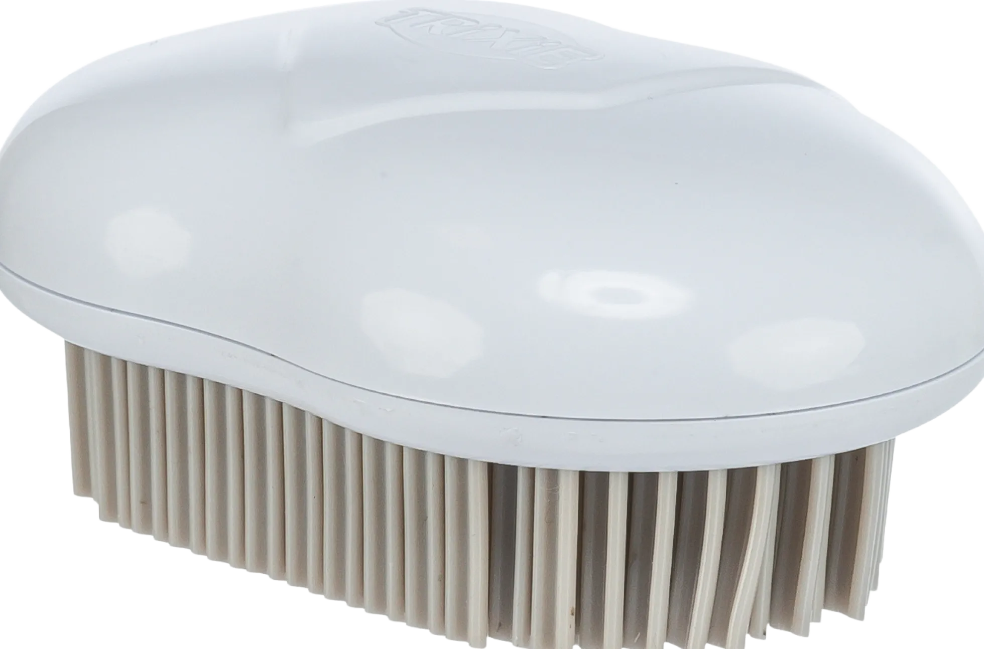 Brosse textile et ameublement