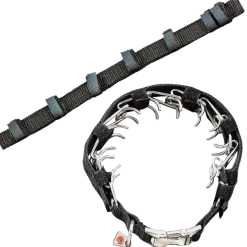 Cache collier Torquatus en nylon