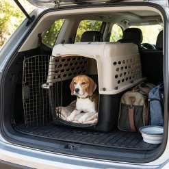 Cage de transport Vari Kennel Traditionnal, taille 2, Medium