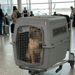 Cage de transport Vari Sky Kennel, taille 3, Intermédiaire (pour avion)