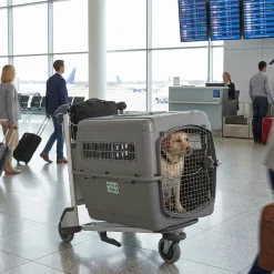 Cage de transport Vari Sky Kennel, taille 4, Large (pour avion)