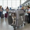 Cage de transport Vari Sky Kennel, taille 6, Giant (pour avion)