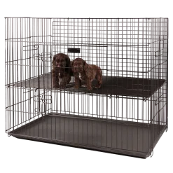 Cage d’exposition pliante 2 niveaux, 92 x 92 x 81 cm