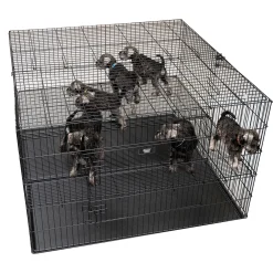 Cage d’exposition pliante 2 niveaux, 122 x 122 x 81 cm