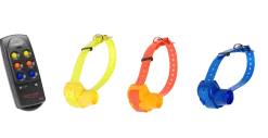 Canibeep Radio (3 colliers + télécommande)