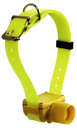 Canibeep Radio (1 collier + télécommande)