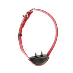 Canicom expert 800 - 1 collier + télécommande