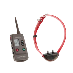 Canicom expert 800 - 1 collier + télécommande