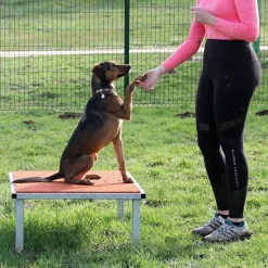 Cani Parc - Table d'obéissance