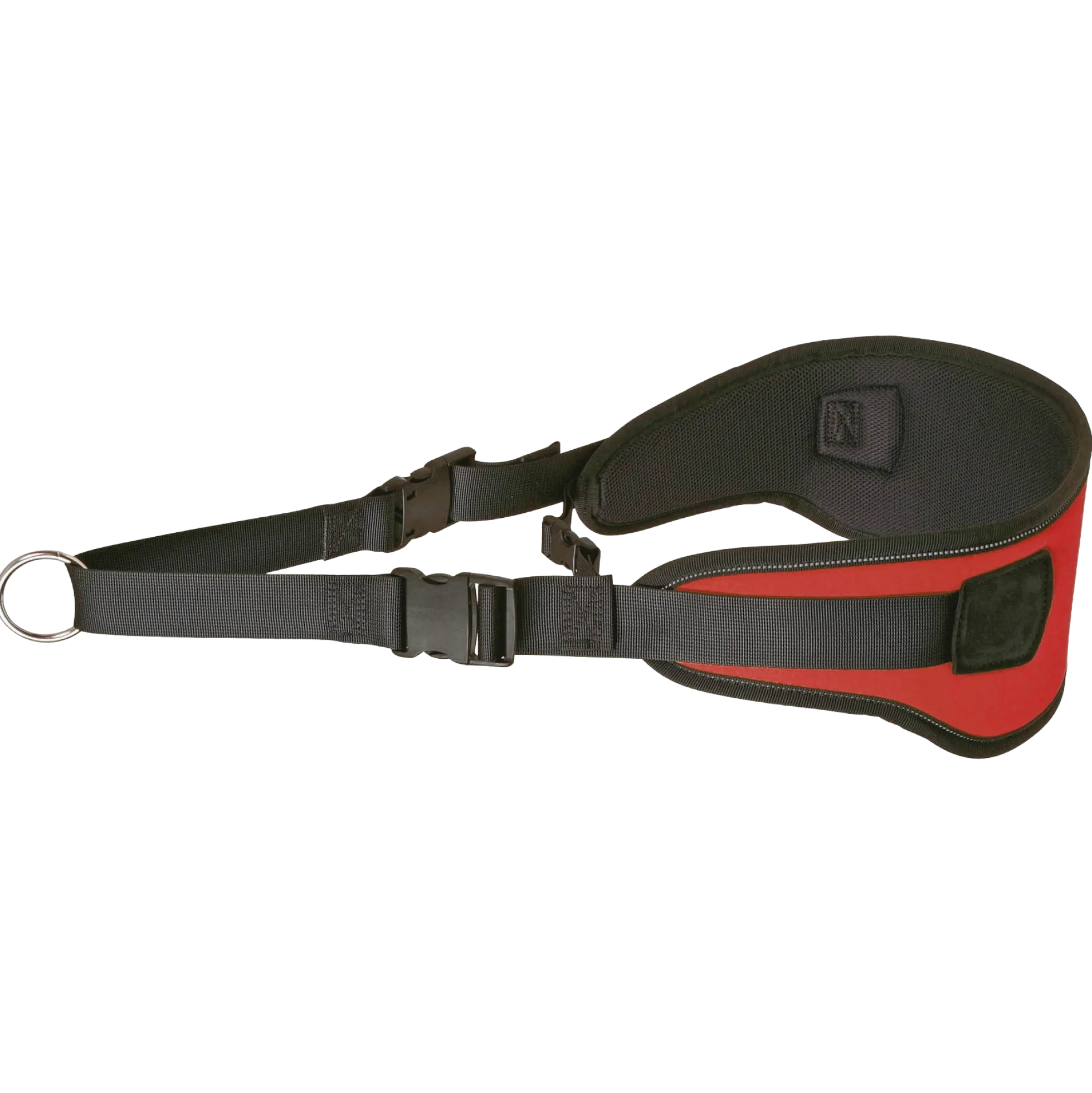 Ceinture Cani-cross Trail Adulte