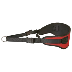 Ceinture Canicross Trail junior