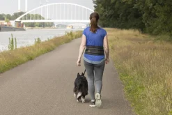 Ceinture de randonnée Dog Jogging
