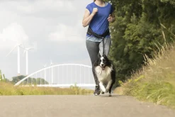 Ceinture de randonnée Dog Jogging