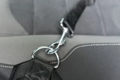 Ceinture de sécurité pour harnais voiture, S-M: 45-70 cm,25 mm, noir