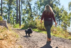 Ceinture NON-STOP Dogwear Trekking belt 2.0 - Taille S