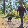 Ceinture NON-STOP Dogwear Trekking belt 2.0 - Taille M