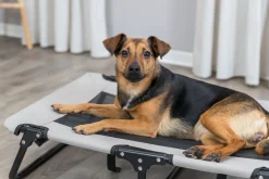 Chaise longue pour chien, 79 × 19 × 50 cm, beige/noir