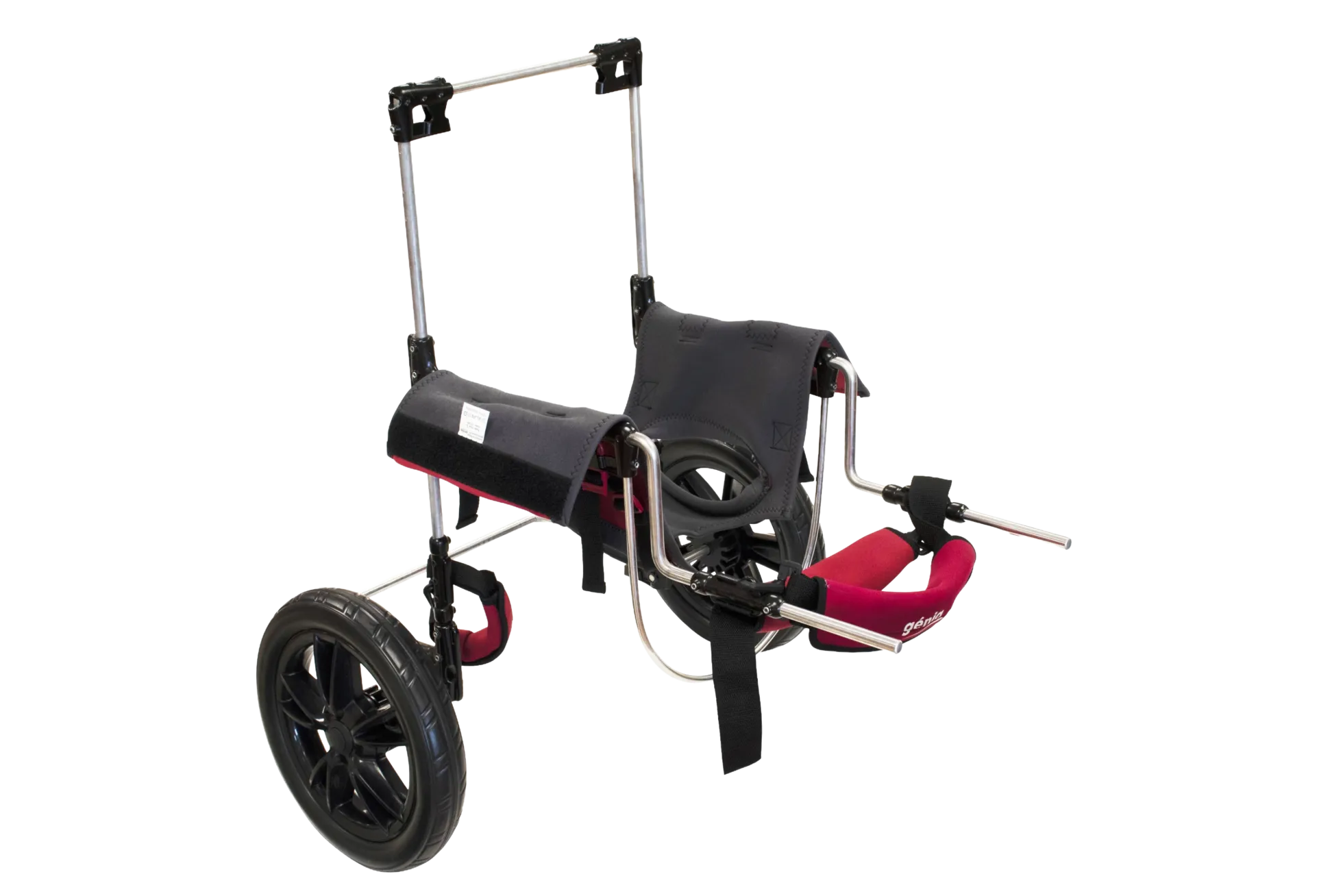 Chariot pour chien à mobilité réduite MOYEN, taille S