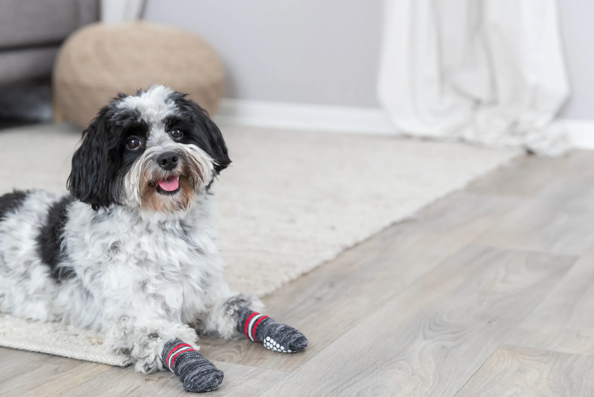 Chaussettes anti-dérapante, M-L