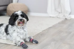 Chaussettes anti-dérapante, S-M