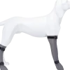 Chaussettes de protection pour chien, en silicone - M