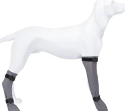 Chaussettes de protection pour chien, en silicone - XL