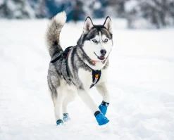 4 chaussettes pour la neige NON-STOP Dogwear Longdistance booties - Taille XXL