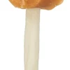 Chicken Cheese Lolly, en vrac, 10 cm, 20 g