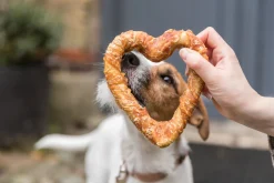 Chicken Heart