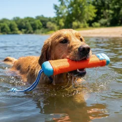 Chuckit Amphibious Bumper flottant pour chien