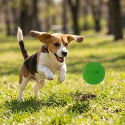Chuckit Ultra Ball Small - 2 Balles pour chien 50 mm