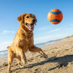 Chuckit Ultra Ball XLarge - Balle pour chien 85 mm