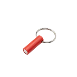 Clé magnétique pour collier Canibeep Pro
