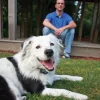 Clôtiure anti-fugue sans fil Petsafe