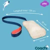 Coachi & Play - CHASE & CRINKLE