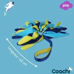 Coachi & Play - TUGGI SPYDER